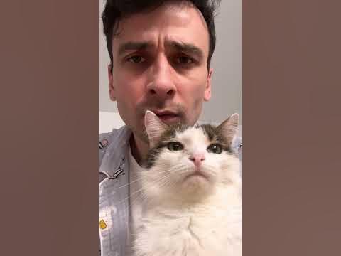 Гнездилище :3 - YouTube