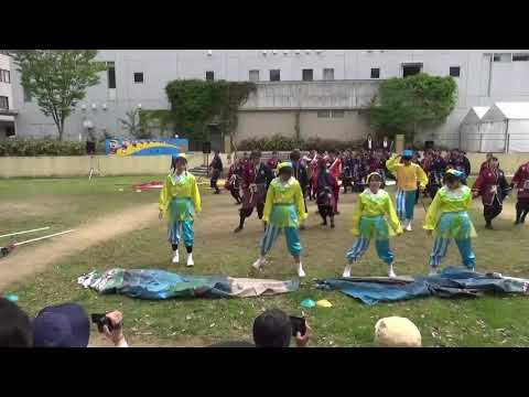 大阪大学お祭りダンスサークル祭楽人  いちょう祭  2019年  「地獄の沙汰も笑い次第」