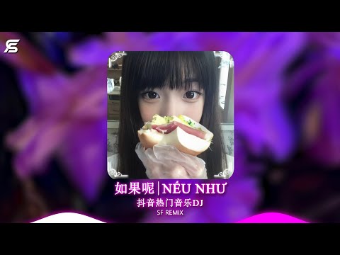 如果呢 鄭潤澤 Nếu Như DJ抖音版 如果說是真的愛我 那為何都說不出口 Hot Douyin Tiktok 2025