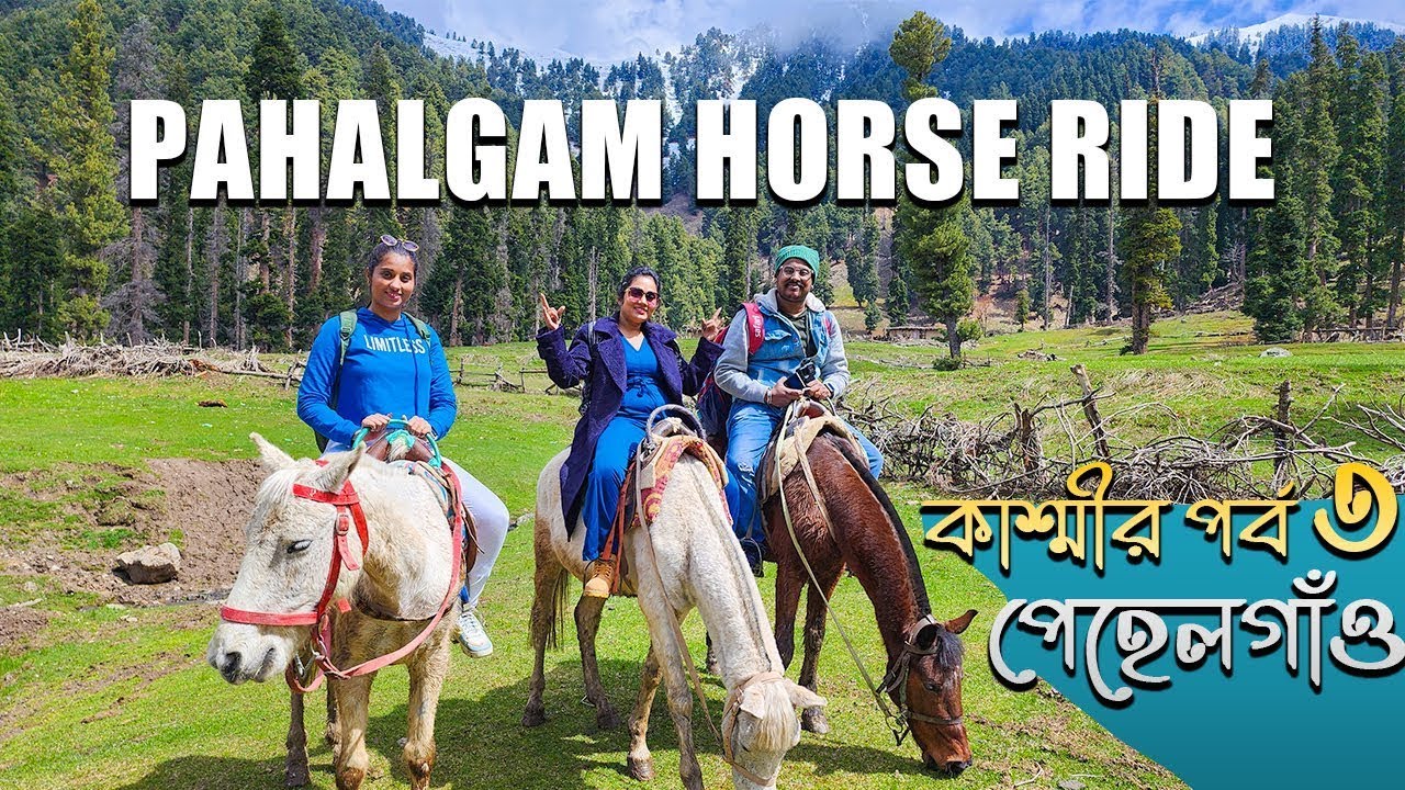 কাশ্মীর পর্ব 3 | Pahalgam Horse Ride  Kashmir | side scene |  Papan Subhendu Vlogs