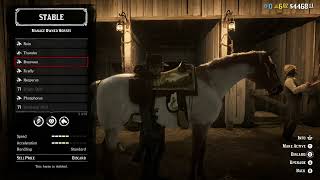 RDO: Funny Horse Size Comparison
