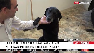 Crueldad infinita: le entraron a robar y le tiraron gas pimienta a su perro