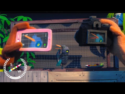 Birdlime | Award-winning stop-motion animation | Short of the week