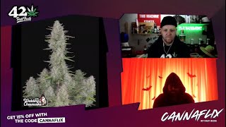 Current Grow: Wedding Cheesecake, Strawberry pie Fast Buds |   WITH SHINSIMILLA