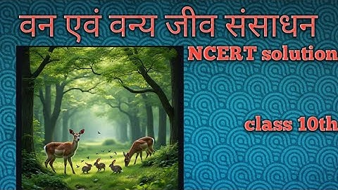 वन एवं वन्य जीव संसाधन 15 मिनट में Class 10 Boards Revision | Social Science📚