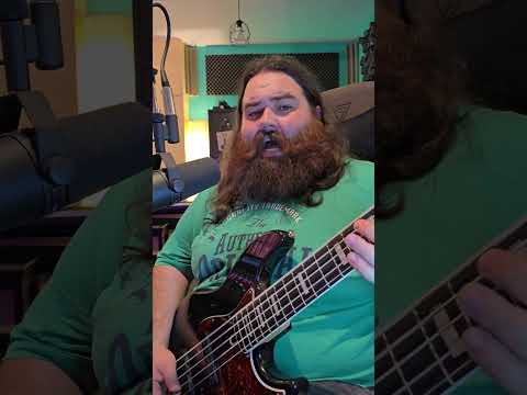 Un Refren Pe Zi Master Blaster Music Cover Steviewondercover Bass Singer Reggae 