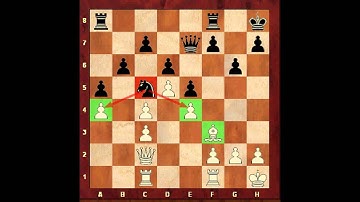 Chess for Beginners. How to Play with a Knight. Eugene Grinis. Chess