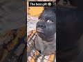 wait for part 7 #funny #shorts #viral