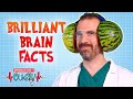 Brilliant Brain Facts | Operation Ouch