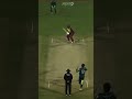 SHAHEEN EAGLE🦅🦅🦅 REVENGE MASTER #shaheen #cricket VS WI BLACKS