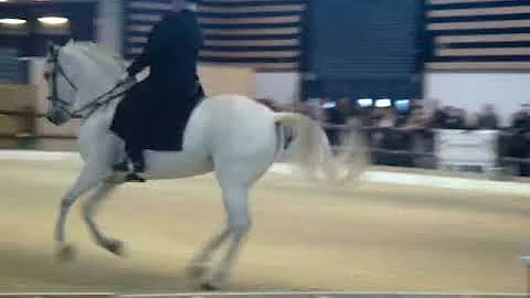 PATRICIA BOREL KABBA EQUITA' 2012.MPG