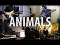 Animals - Band Cover - Kfir Ochaion