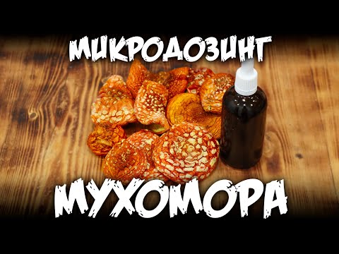 Микродозинг Мухомора