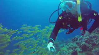 Spirit of Freedom: Great Barrier Reef