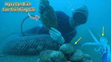 Lặn Biển Bắt Hải Sản_Vào Trời Động Gió_Tại Vùng Biển LaGi Bình Ty | Tập 140 #lặnbắthảisản #lặnbiển