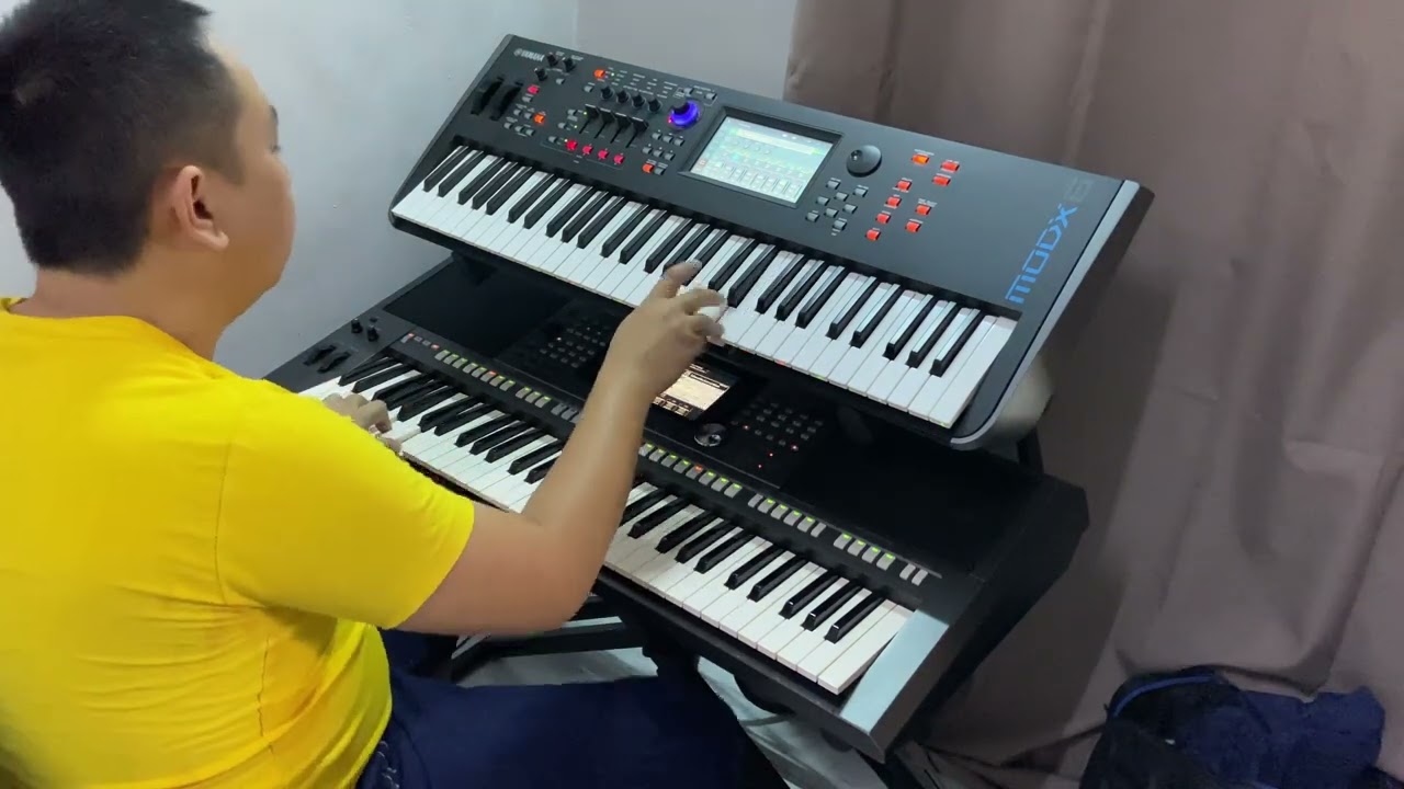 双电子琴演奏 难忘的初恋情人 (Cover by~Bu)