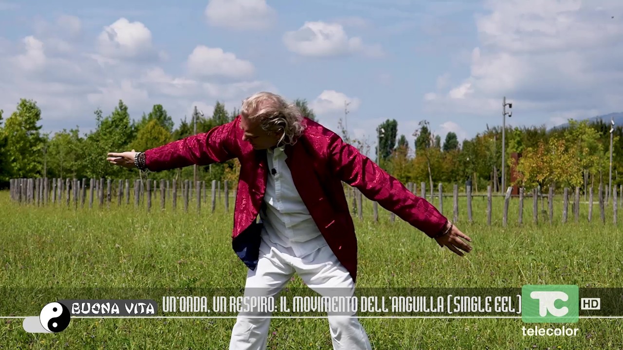 Buona Vita: Un onda, un respiro: il movimento dell'anguilla (single eel)