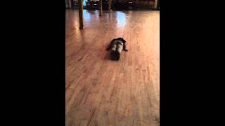 The inch worm dance