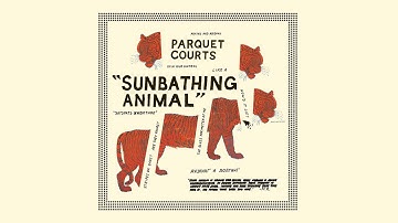 Parquet Courts "Black and White"