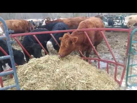 Opening the ag