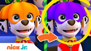 Spot the Difference #14 🎃 Halloween Edition w/ PAW Patrol, Blaze & Santiago! | Nick Jr.