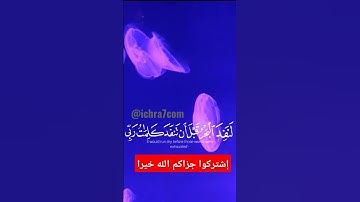 قل لو كان البحر مدادا لكلمات ربي لنفد البحر قبل أن تنفد كلمات ربي ولو جئنا بمثله مددا - سورة هود