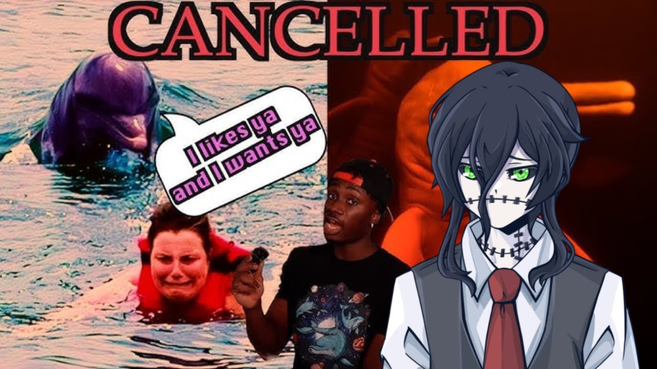 Dolphins are crazy wild deviants | Toby reacts to Casual Geographic