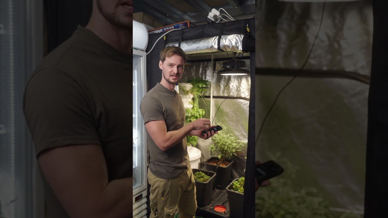 Telos Light Controller Explained