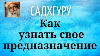 Садхгуру - Как узнать свое предназначение