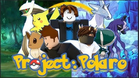 PROJECT POLARO A NEW CODE.