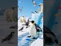 12 Heartwarming Animal Stories That Will Melt Your Heart 🐾 | Motivational Shorts #animalshorts