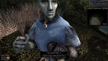 Vanity MWSE-Lua mod Preview