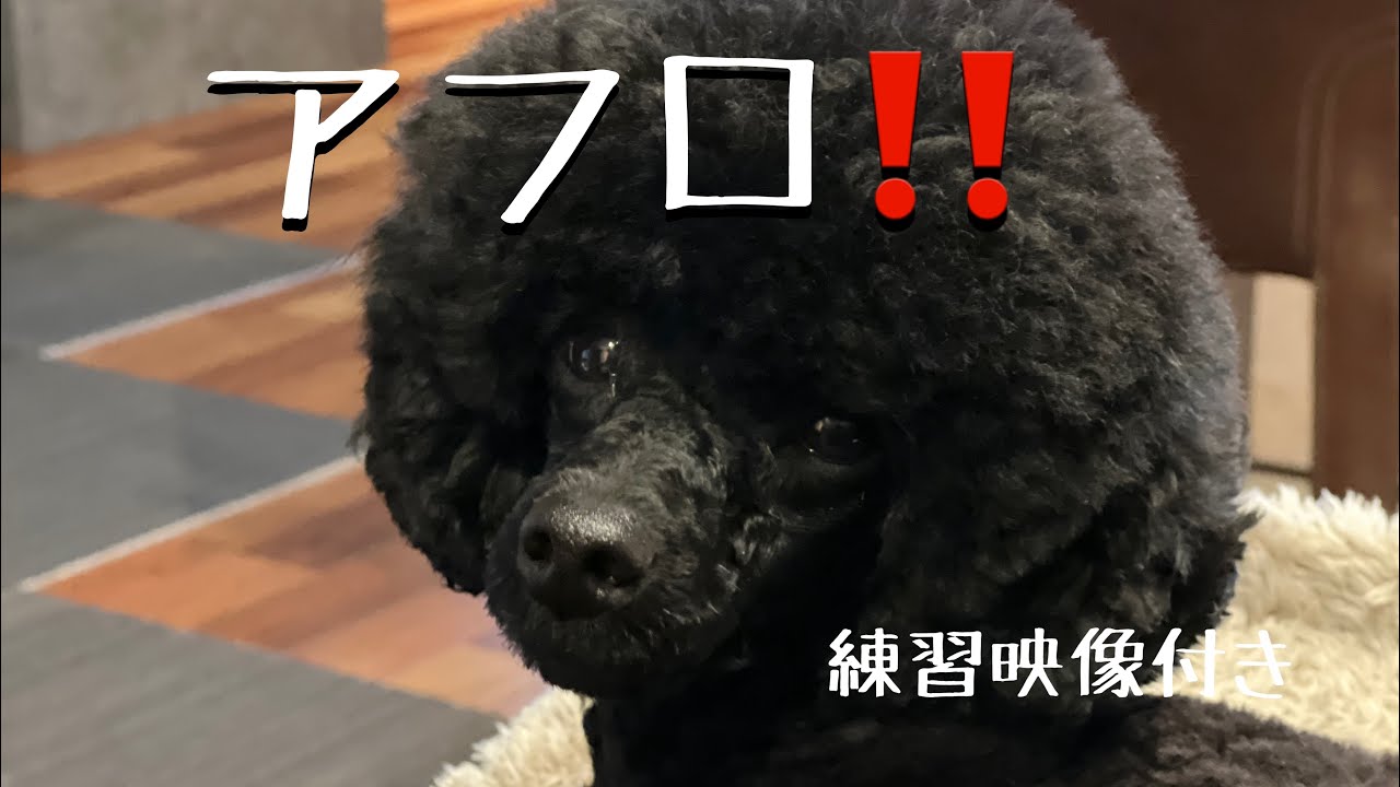 youtu.be