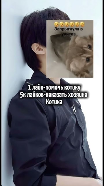 [20:34]это 245 статья УК.РФ!!! - YouTube