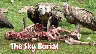 The Sky Burial Ritual in Kalash Chitral, Pakistan Keeping Human Corpse in open Coffins 16-Sep-2016