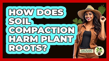 How Does Soil Compaction Harm Plant Roots? - The Plant Enthusiast