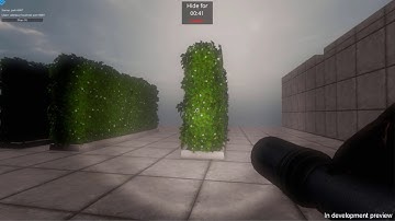 [PREVIEW] Hide and Seek First Person View