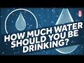 You're Probably not Dehydrated: The Eight Glasses of Water a Day Myth