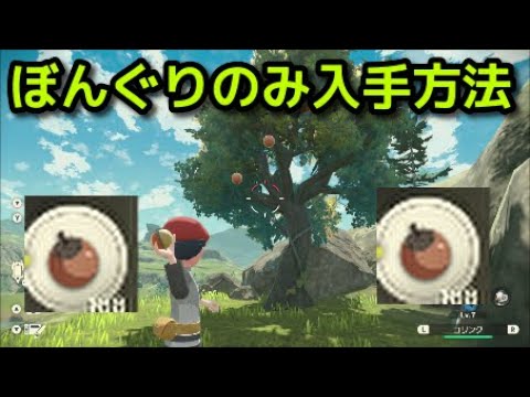 ポケモン アルセウス ぼんぐりのみ入手方法 Pokemon Legends アルセウス Youtube