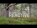 A Day of Reactive Woodland Photography