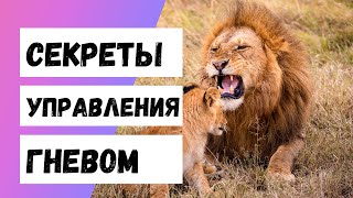 Секреты Управления Гневом