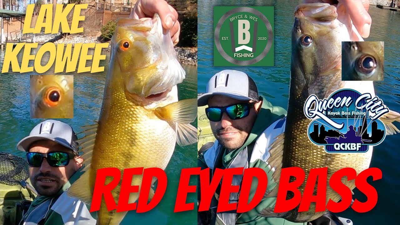 Lake Keowee RED EYED FEBRUARY BASS!!! Bass Fishing / QCKBF West / 2.18.