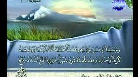 سورة الاحقاف الشيخ فارس عباد