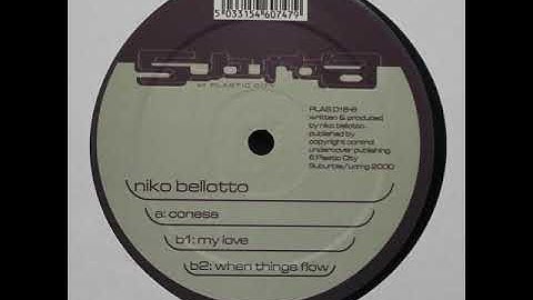 Niko Bellotto - When Things Flow