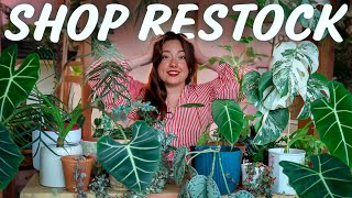 How I Launched my Biggest Plant Sale...Yet!