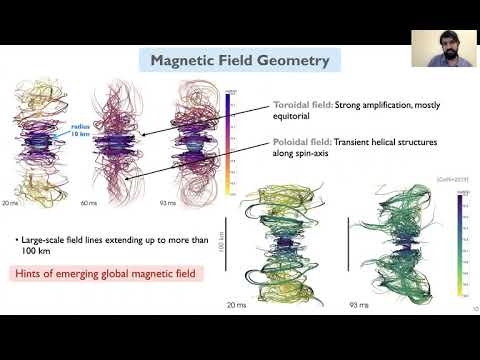 Magnetized Binary Neutron
