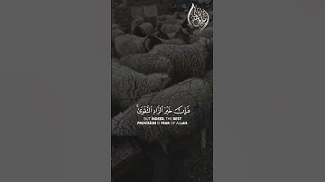 "وما تفعلوا من خير يعلمه الله" سورة البقرة القارئ الشيخ بلال دربالي.