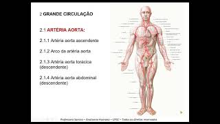 Que ramo colateral da artéria aorta abdominal representa o início de ramos arteriais que levam sangue arterial para o fígado baço e estômago?
