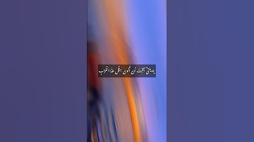 تلاوة عطرة من{سورة المائدة}