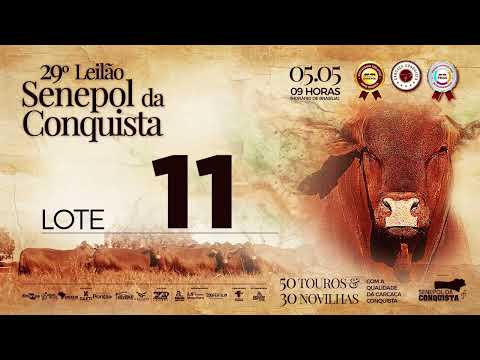 LOTE 11 CONQ 2827